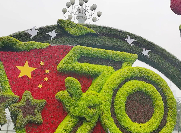 五色草造型 五色草造型