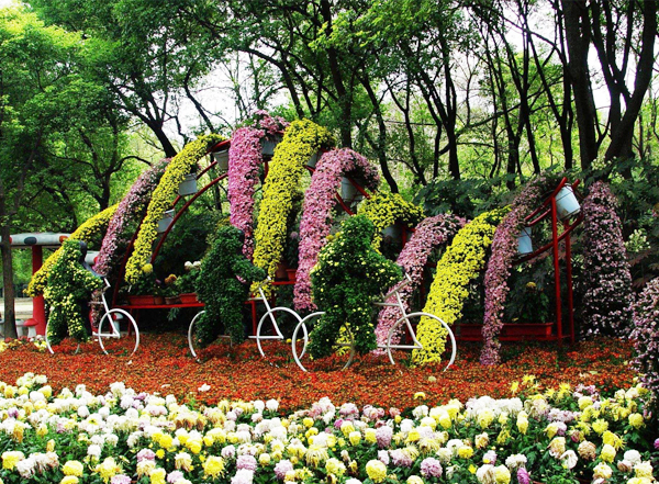 池州菊花展工程