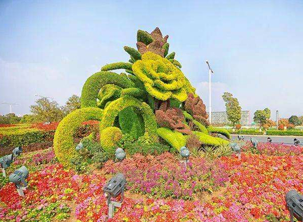 海南 植物绿雕造型