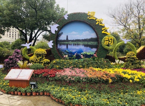 上海菊展工程