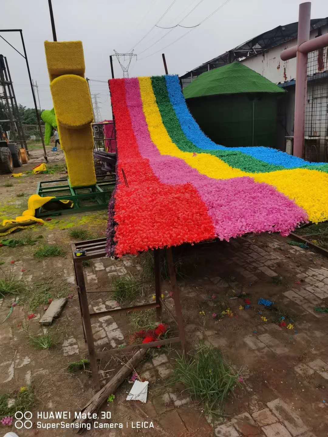 1598324939994146.jpg