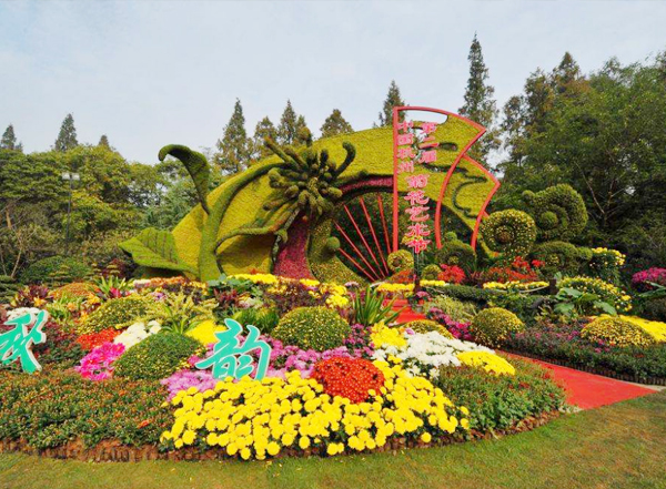 菊花造型